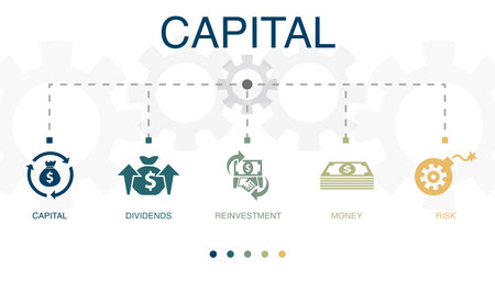 capital, dividends, reinvestment, money, risk icons Infographic design template. Creative concept with 5 stepsのイラスト素材