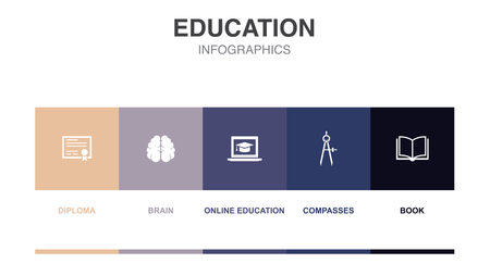 diploma, brain, online education, compasses, book, icons Infographic design layout template. Creative presentation concept with 5 stepsのイラスト素材