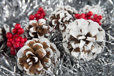 Silver christmasの写真素材
