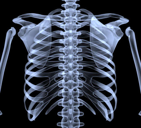 Chest x-ray (3d rendering)の写真素材