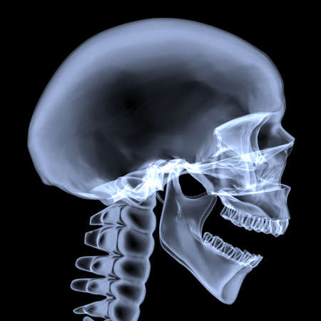 X-ray of the human skull. Side view (3d rendering)の写真素材