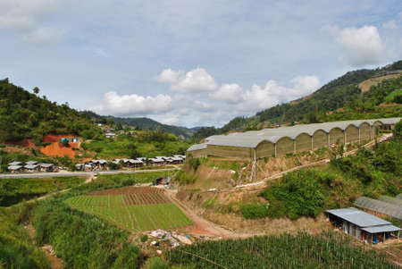 BertamValley, Malaysiaの写真素材
