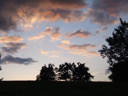 Sunset over trees, field, with pink cloudsの写真素材
