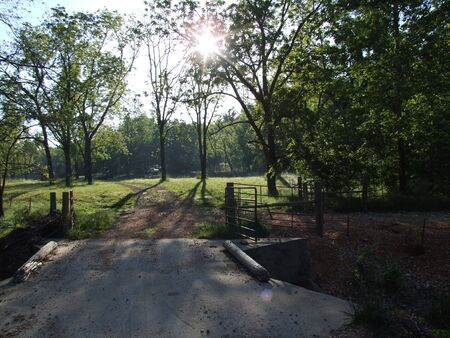 bridge; bridge in the country into meadow with sun shinningの写真素材
