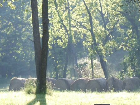 hay; bales of hay in country meadow with sun shinningの写真素材