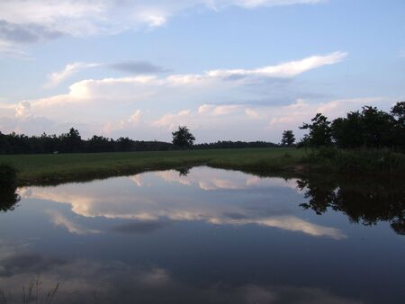natural water reflection: reflection of clouds and trees over waterの写真素材