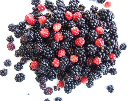 berries, fresh berries isolated on whiteの写真素材