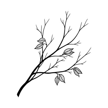 Minimalist hand-drawn illustration of a graceful tree branch with a few delicate leaves, rendered in black outline. Ideal for nature-themed designs and projects.のイラスト素材