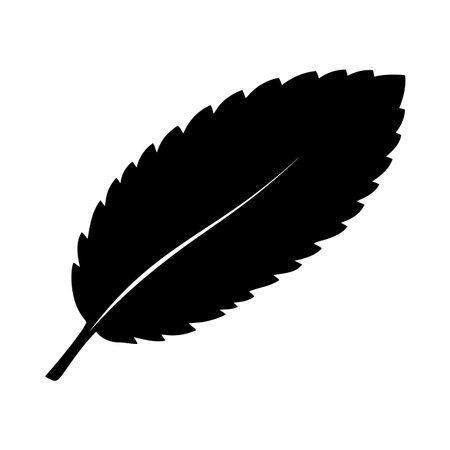 A clean black silhouette of a fresh mint leaf, featuring serrated edges and a central vein. Ideal for icons, logos, and graphic design elements, herbs.のイラスト素材