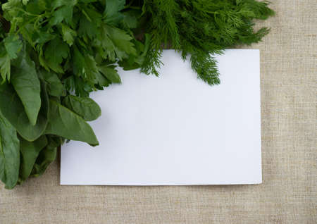 Bunch of dill with white sheet of paper on a sackclothの写真素材