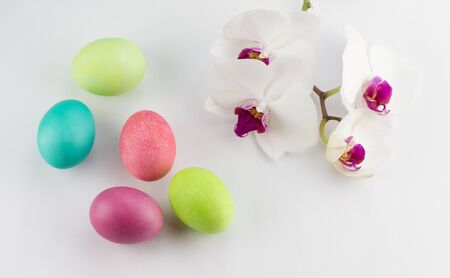 Colorful painted Easter eggs with orchid on white backgroundの写真素材