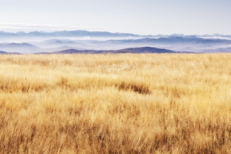Yellow grass and misty mountains の写真素材