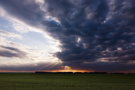 Dramatic and beautiful scene in the plain の写真素材