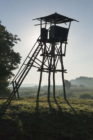 Old tilted watchtower in the natural reservationの写真素材