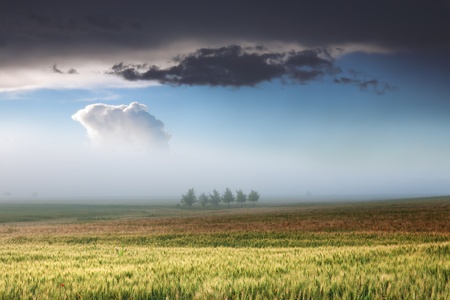 Unusual weather conditions in lowland areasの写真素材