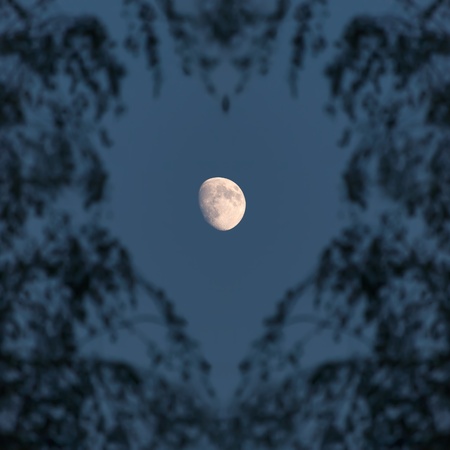 Romantic view of the moon through a heart-shaped branches