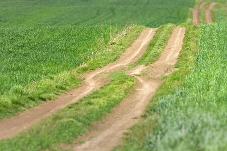 Empty dirt road through the cultivated agricultural fields at sunny day.の写真素材