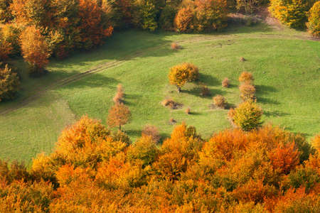 Autumn scenery from above with a view on colorful woods and green meadow at morning sunlight.