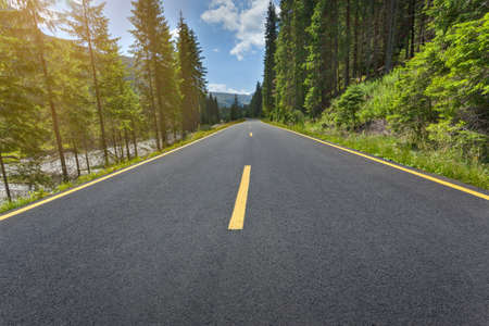Driving on an empty asphalt road through the idyllic green woods in mountain area. Transalpina road in Parang mountains, Romania.の写真素材