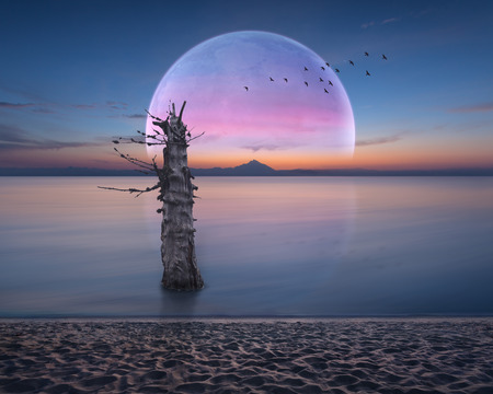 Idyllic scenery at dawn with big moon rising over horizon and lone dried tree in ocean. Dream concept.の写真素材