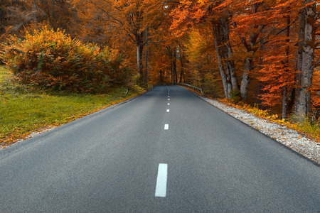 Driving on idyllic mountain road at autumn environment, near the Bohinj lake, Slovenia.
