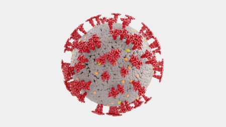 Coronavirus cell as realistic model isolated on white background. Covid-19 virus model as 3d illustration.の写真素材