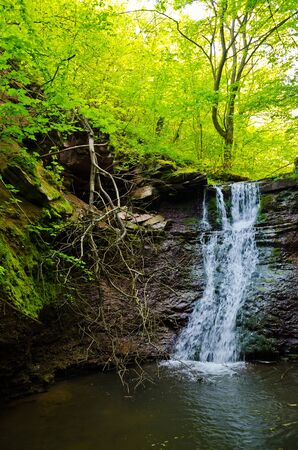 Waterfall in the forestの写真素材