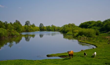 Countryside lakeの写真素材