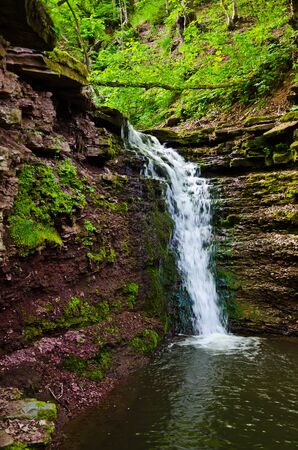 Waterfall in the forestの写真素材