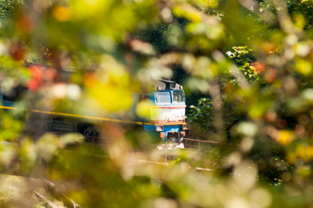 Railway locomotive behind leaves and branchesの写真素材
