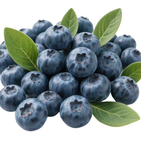 Blueberries with leaves isolated on white background close up. Healthy food concept.の素材