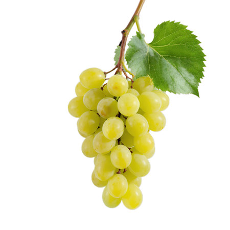 Bunch of green grapes isolated on white background. Clipping pathの素材
