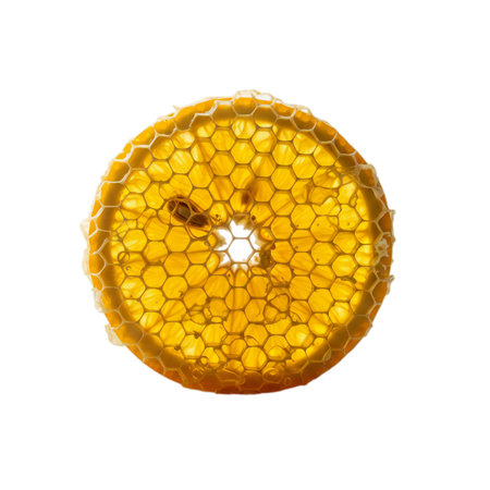 Yellow honeycomb isolated on white background. Clipping path included.の写真素材