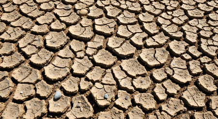 A vast expanse of cracked, dry earth, evoking a sense of arid conditions and severe drought.