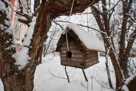 Bird house in Moscowの写真素材