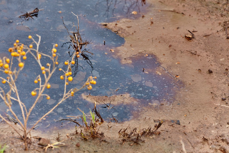 dirty oily water