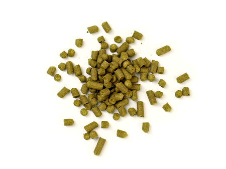 Pelletized Hops on White Backgroundの写真素材
