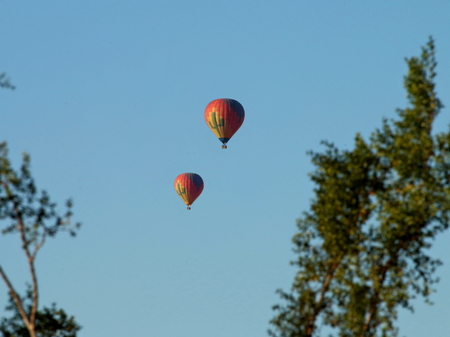 Hot Air Balloons through Tree Limbsの写真素材