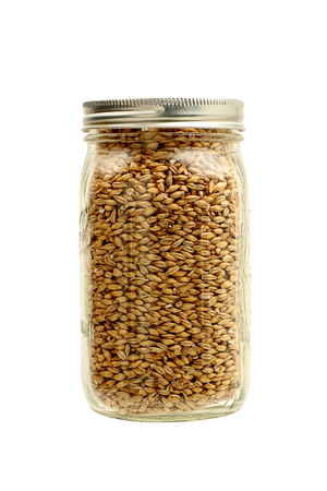 Malted Barley in a jar on a White Backgroundの写真素材