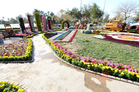 Image of Gallery of flowers in Baghdad for 2015, which is held annually in Zora Park in central Baghdad.の写真素材