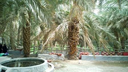 Picture of Imam Hassan orchard in Medina, grove to house and feed the Shi'ite pilgrims in Medina, It is one of the Shiite sights in Saudi Arabia.のeditorial素材