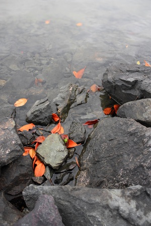 red leaves and grey rocks at the shoreの写真素材