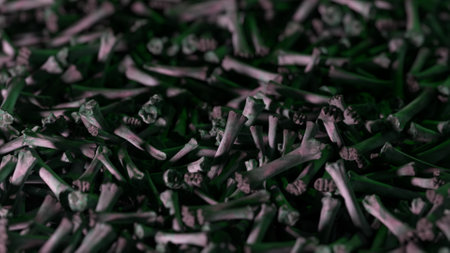 Endless remains of bones scattered on the ground. The concept of war and the Apocalypse. 3D illustrationの写真素材