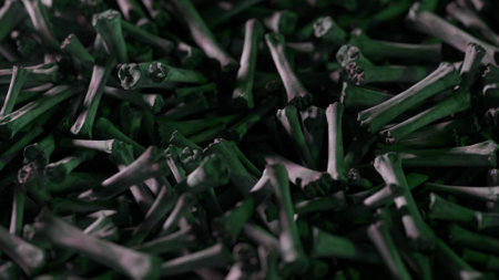 Endless remains of bones scattered on the ground. The concept of war and the Apocalypse. 3D illustrationの写真素材