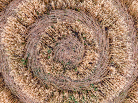Mysterious mystical signs in the middle of the field. Aerial drone view