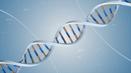 The structure of the human DNA rotates against the background of compounds and numbers. Conceptual science technology 3d illustrationの写真素材