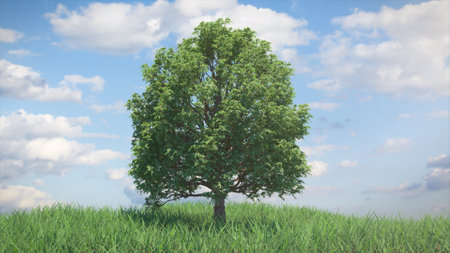 3d illustration growing tree on a hill with grass against a blue sky with clouds