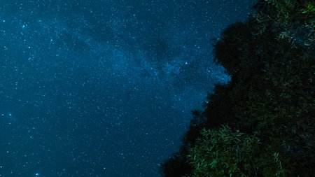 Lovely long exposure night photography. Milky Way in the night sky. Stars and space. Trees in the...