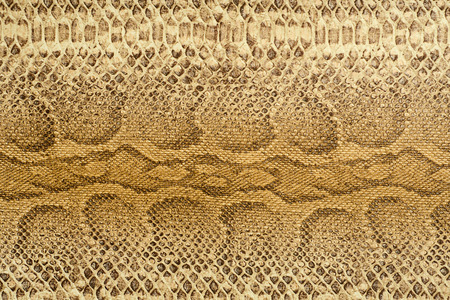 Snake Leather textureの写真素材