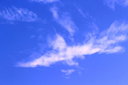 A cloud shaped like a flying bird in the sky. の写真素材